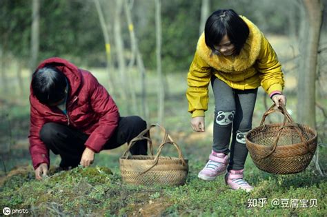 开化农创客孵化园一项目闯入浙江省农村创业创新大赛总决赛-开化新闻网