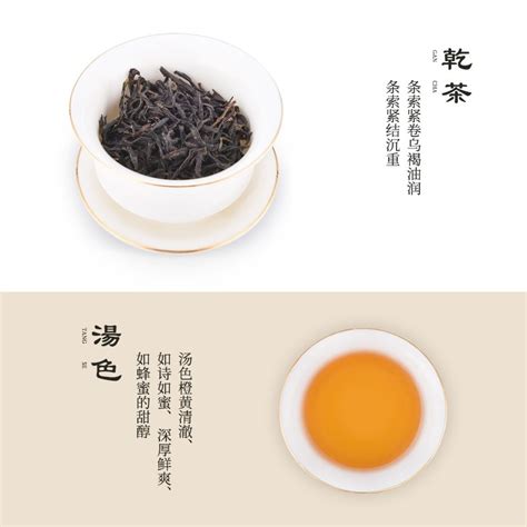凤凰单枞芝兰香特点：其生空谷、其幽如兰（收藏）-茶文化网