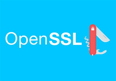 OpenSSL 自签 CA 及 SSL 证书 | 樱花庄的白猫