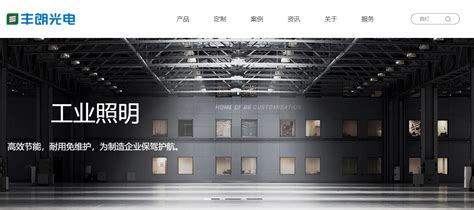 雷士光电 - 网站建设客户案例 - 广州网站建设|网站制作|网站设计-互诺科技-广东网络品牌公司
