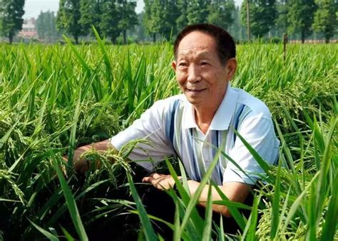 “杂交水稻之父”袁隆平逝世，享年91岁
