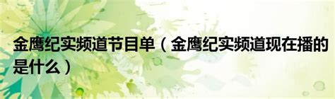 行业前沿丨对话章红伟：走进湖南金鹰纪实卫视-搜狐大视野-搜狐新闻