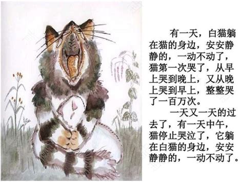 儿童绘本故事《活了一百万次的猫》 - 知乎