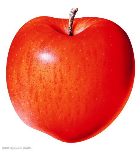黄皮红肉KISSABEL苹果收获季到来 今年有望进入中国市场 | 国际果蔬报道