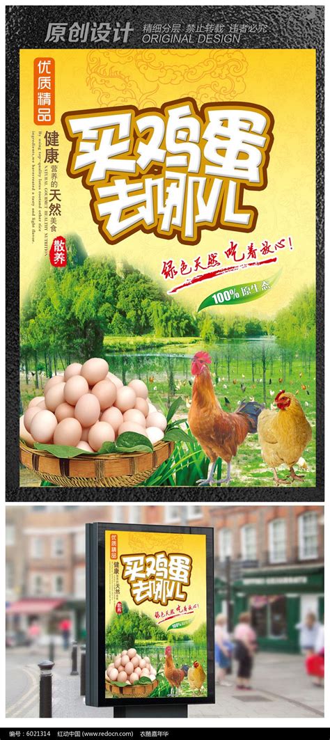 买鸡蛋买土鸡促销海报设计图片_红动中国
