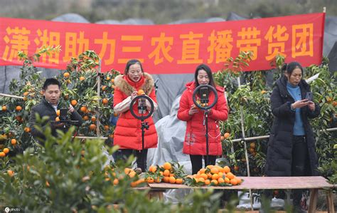 《科技金融时报》：直播带货助农增收-浙江农林大学