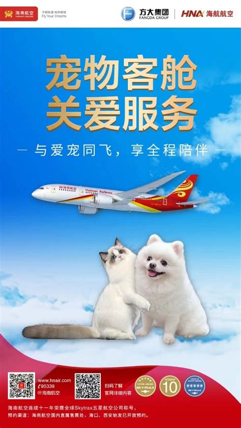和“毛孩子”一起畅享飞行旅程，海南航空将推出宠物客舱关爱服务_城事 _ 文汇网