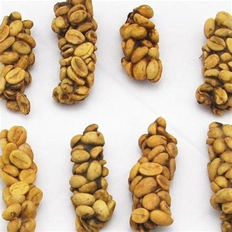 猫屎咖啡豆风味口感特点故事 中国云南猫屎咖啡豆与印尼的区别 中国咖啡网