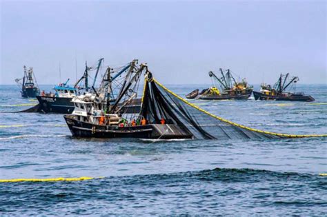 泉州市海洋渔业局与泉州海事局等涉海部门开展商渔共治2022海上联合执法行动-泉州市海洋与渔业局