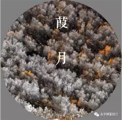 中国农历十二个月份的别称，满满的都是诗意-上游新闻 汇聚向上的力量