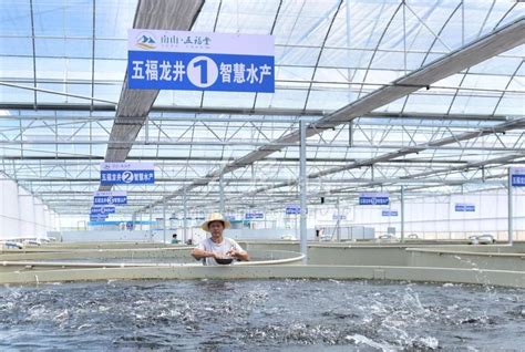 渤海生态攻坚下的山东水产业：莱州、龙口何以殊途同归 - 海洋财富网