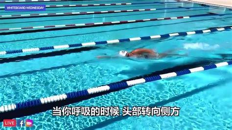【女子50米游泳夺冠时刻】陈小纭秀超美泳姿 绝对实力碾压夺冠