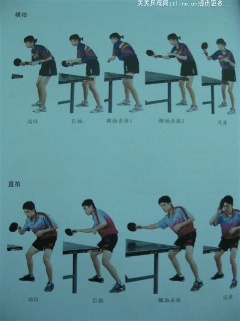 跟教练学乒乓-弧圈球技术-正手弧圈球技术