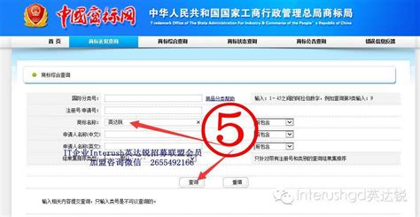 中国商标网怎样查询注册图形商标？ - 商标财税 - XinFocus