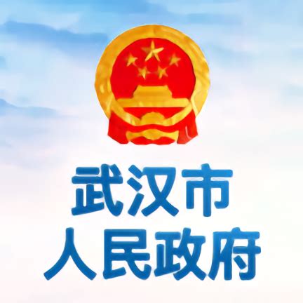 武汉本土app-武汉城市服务app-武汉人用的app-2265安卓网