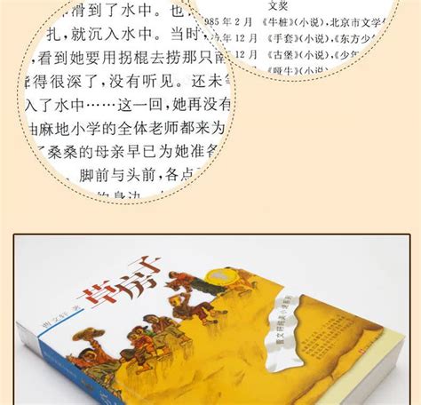 《曹文轩纯美小说：草房子》书评,简介_儿童文学电子书_新浪博客