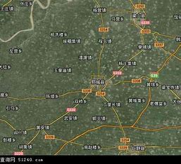 郓城县网站seo优化排名 的图像结果