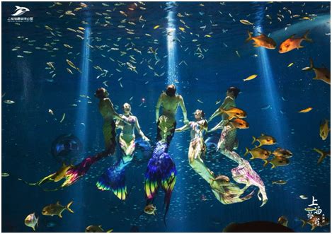 五彩小丑的逗趣搞笑 美人鱼海豚表演 曲江海洋极地公园春节欢乐多__凤凰网