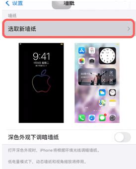 iPhone 13怎么设置动态壁纸？-动态锁屏怎么弄？- 机选网