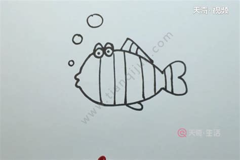热带小鱼简笔画画法图片步骤🎬小小画家