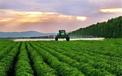 三润集团- 葡萄温室大棚-农业规划-生态智慧农业全产业链解决方案践行者
