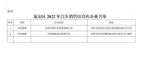 广州新龙安国际商贸城市场经营管理有限公司企业发展分析报告Word模板下载_编号lpmbgzdn_熊猫办公