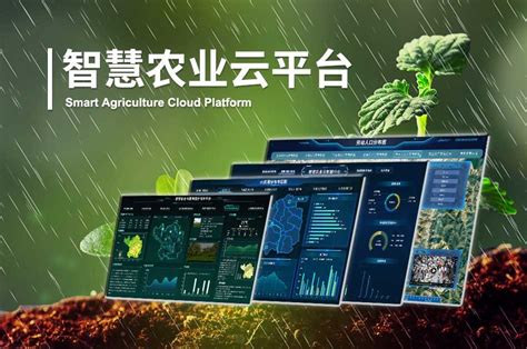 农业大数据云平台_智慧农业