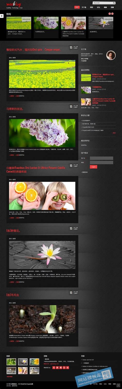 简约个人博客页面设计模板 免费Drupal_网站模板库【高质量免费 ...
