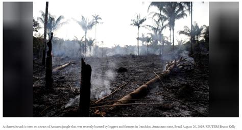亚马逊雨林经济开发引冲突 NGO不畏强权抗争多年-国际环保在线