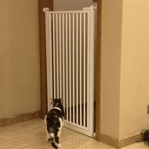 猫正穿过猫洞门