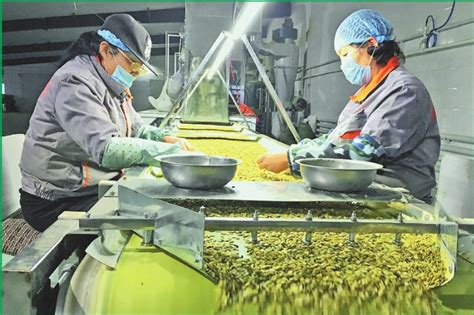 【展团风采】黑龙江双鸭山市特色农产品在2021第七届深圳绿博会上竞放异彩 - 深圳市绿然展业发展有限公司
