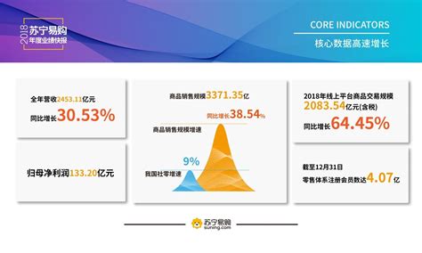 苏宁易购2018年业绩出炉：线上销售增长64.45%—会员服务 中国电子商会