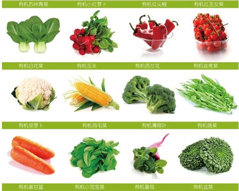 蔬菜种类及名称