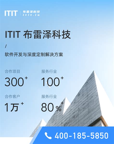 天津IT外包-「风险及预防」-巨蚁软件