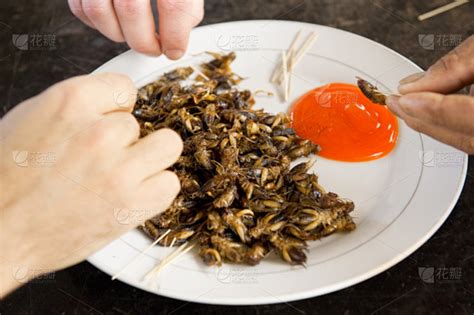 日本重口味料理蟋蟀拉面 你敢试吗？