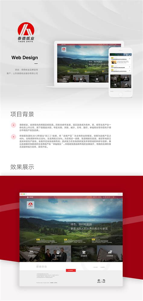 山东泰德纸业股份有限公司网站设计_灵智国际-站酷ZCOOL