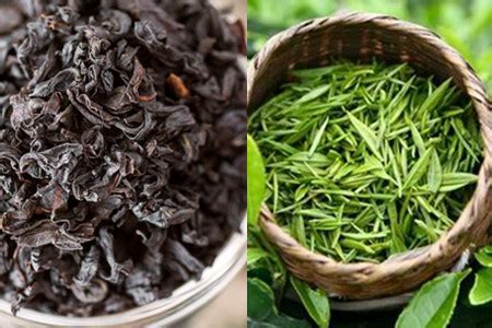 【红茶】【图】红茶和绿茶的区别 哪种更加健康_伊秀健康|yxlady.com