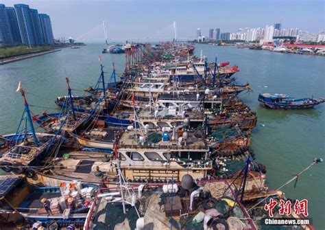 台风“沙德尔”来袭 海南渔船回港避风凤凰网海南_凤凰网