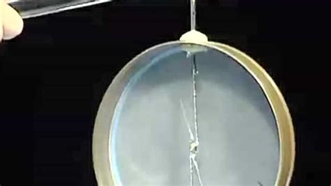 新课程高中物理演示实验 15 摩擦起电