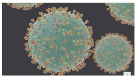 英国新冠病毒变异可能源自某个长期慢性感染新冠患者_凤凰网