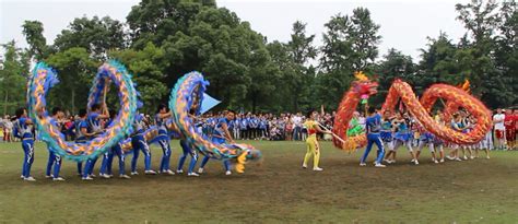 喜报：我校舞龙队荣获上海市第五届学生龙文化全能赛自选套路一等奖、传统套路二等奖！