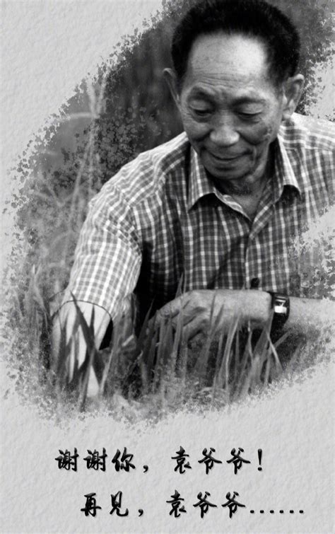 沉痛悼念！袁隆平逝世 享年91岁...这一生，他为世界留下了什么？-新闻频道-和讯网
