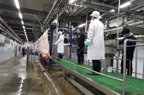 猪牛羊屠宰设备 屠宰加工生产线 胴体加工输送线 猪牛羊输送线-食品机械设备网