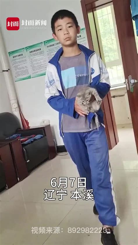 小学生捡流浪猫交给老师求照顾 老师：孩子很有爱心，让他提前放学带猫回家了_凤凰网视频_凤凰网