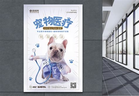 宠物之家医院宣传三页设计图片下载_ai格式素材_熊猫办公