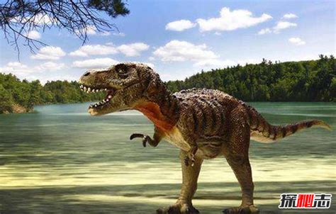 恐龙纪录片《史前星球》深度还原6600万年前的恐龙世界！