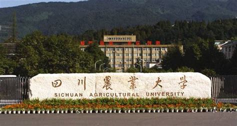 四川农业大学是一本还是二本-掌上高考