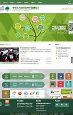 义乌网站建设与优化 的图像结果