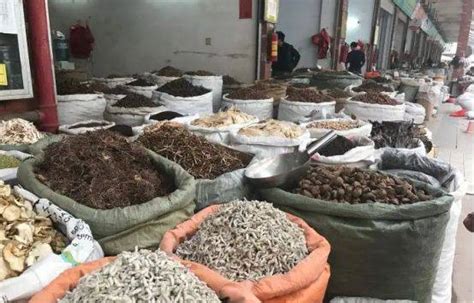 2016年9月玉林市场辣木籽货足近期行情变化不大_藏红花网