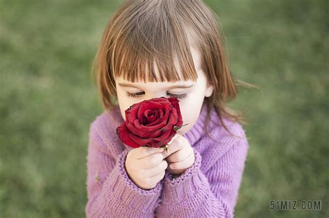 紫色人像摄影儿童花朵 红色玫瑰闻亲吻背景图片免费下载 - 觅知网